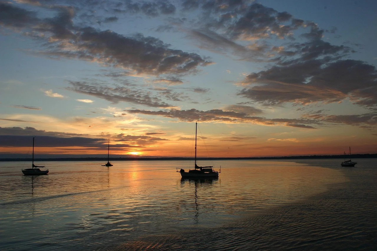 Bellingham